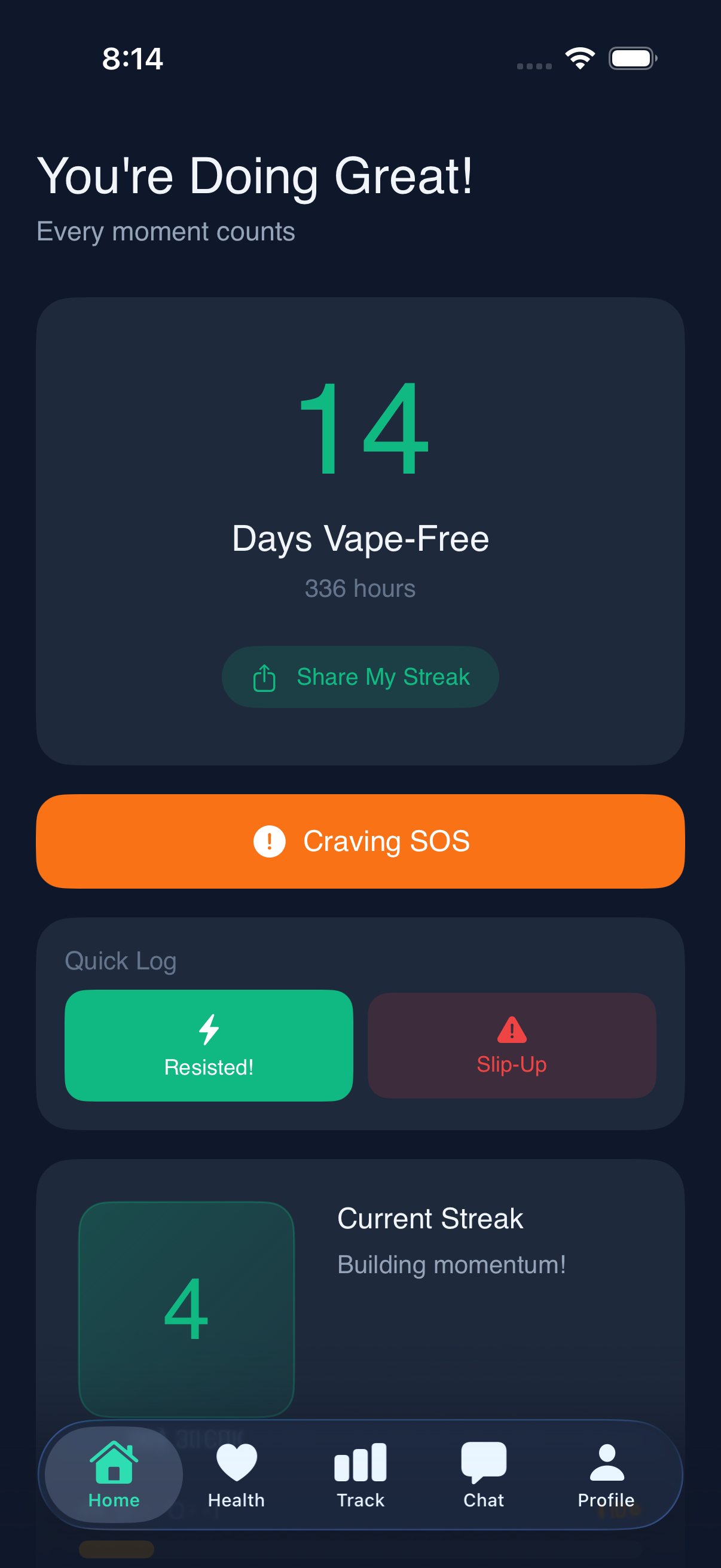 Dashboard — track your quit progress